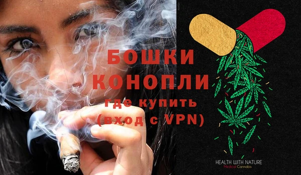 гидра Касимов