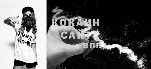 гидра Касимов